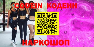 гашик Моздок