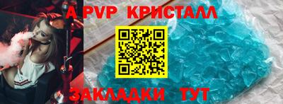гашик Моздок