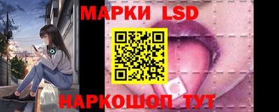 гашик Моздок