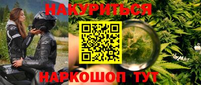 гашик Моздок