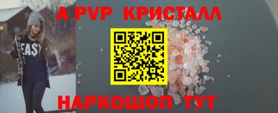 гашик Моздок