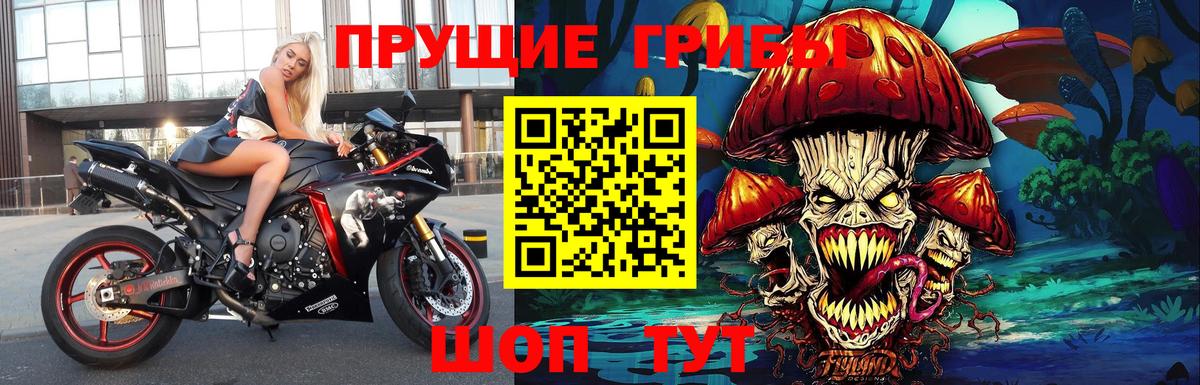 Галлюциногенные грибы Psilocybine cubensis Вольск